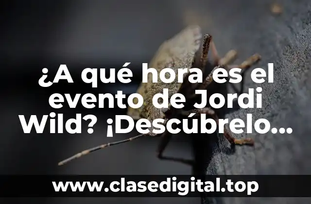 ¿Quién es Jordi Wild?