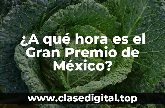 ¿A qué hora es el Gran Premio de México?