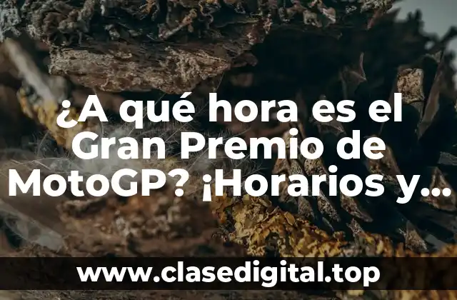 ¿A qué hora es el Gran Premio de MotoGP? ¡Horarios y fechas de la temporada!