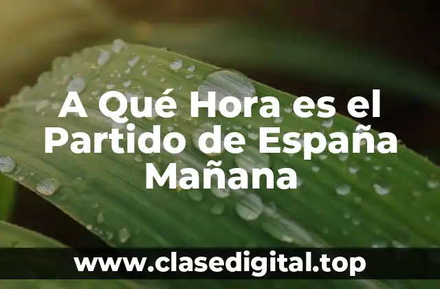 La Importancia de la Programación de los Partidos de Fútbol