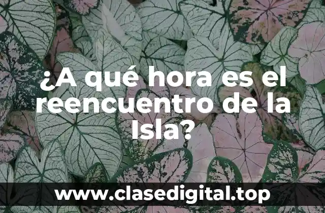 ¿A qué hora es el reencuentro de la Isla?