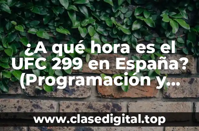 ¿A qué hora es el UFC 299 en España? (Programación y detalles)