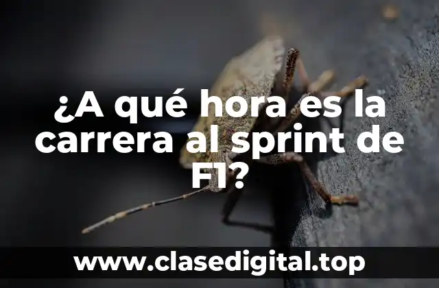 ¿A qué hora es la carrera al sprint de F1?