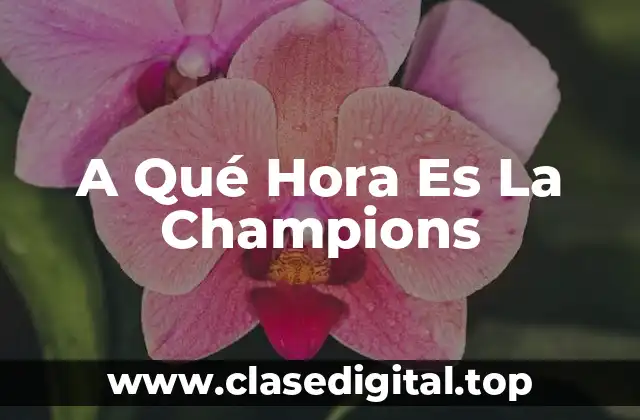 A Qué Hora Es La Champions