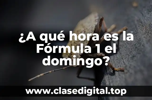 ¿A qué hora es la Fórmula 1 el domingo?