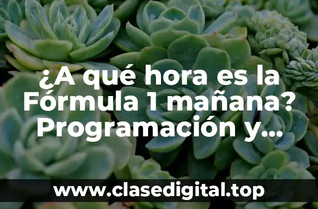 ¿A qué hora es la Fórmula 1 mañana? Programación y Horarios de la Temporada 2023