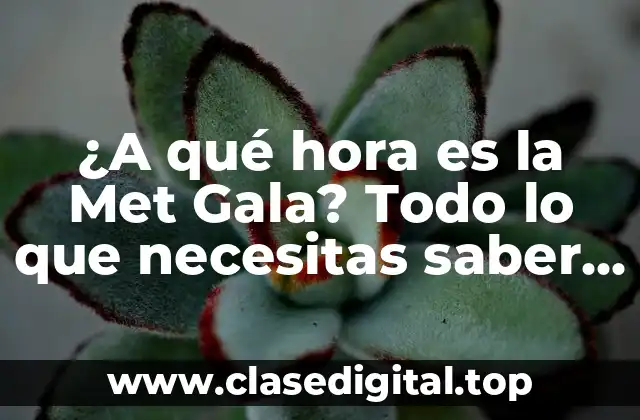 ¿A qué hora es la Met Gala? Todo lo que necesitas saber sobre la gala de moda más importante del mundo