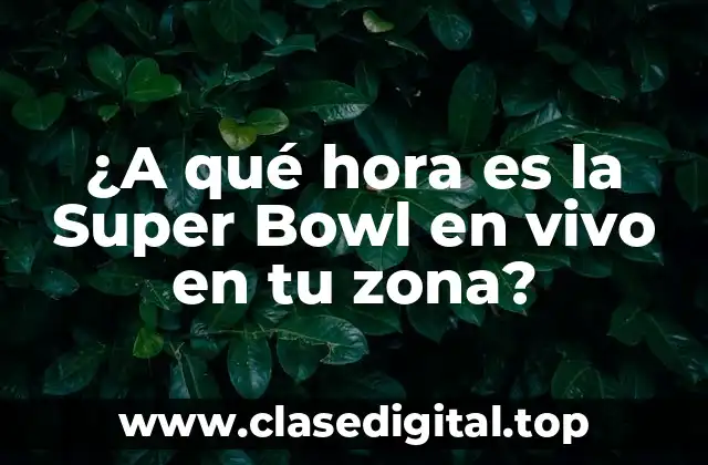 ¿A qué hora es la Super Bowl en vivo en tu zona?