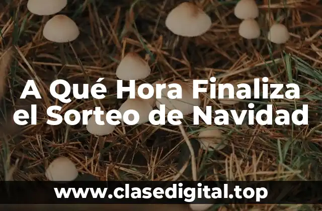 A Qué Hora Finaliza el Sorteo de Navidad