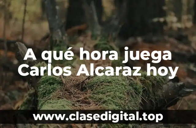 La carrera de Carlos Alcaraz: De las categorías junior a la élite del tenis