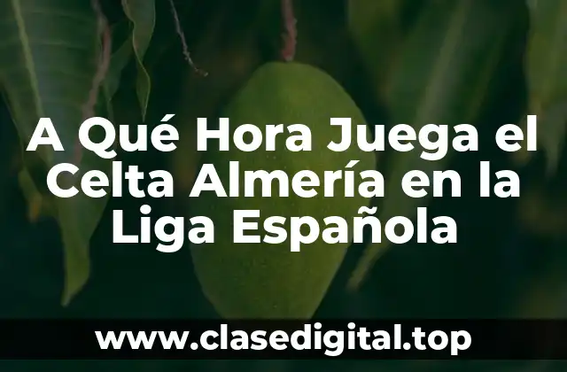 Importancia de los Horarios de los Partidos para los Aficionados