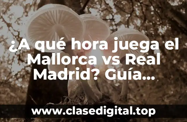 La importancia de la programación de partidos en el fútbol