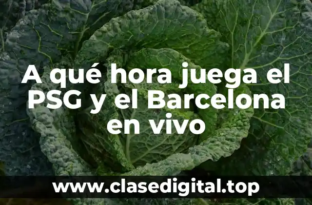 A qué hora juega el PSG y el Barcelona en vivo