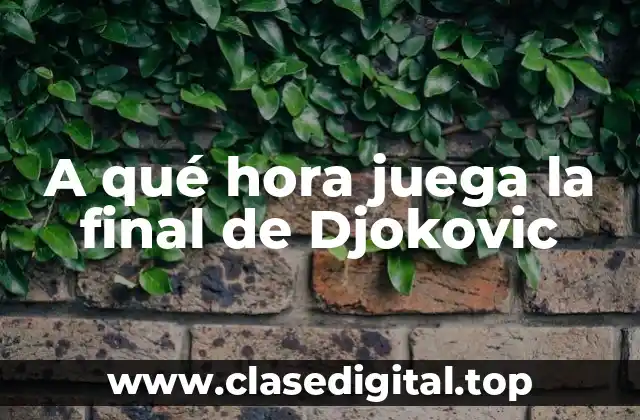 A qué hora juega la final de Djokovic