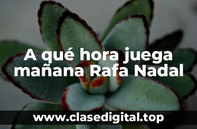 A qué hora juega mañana Rafa Nadal