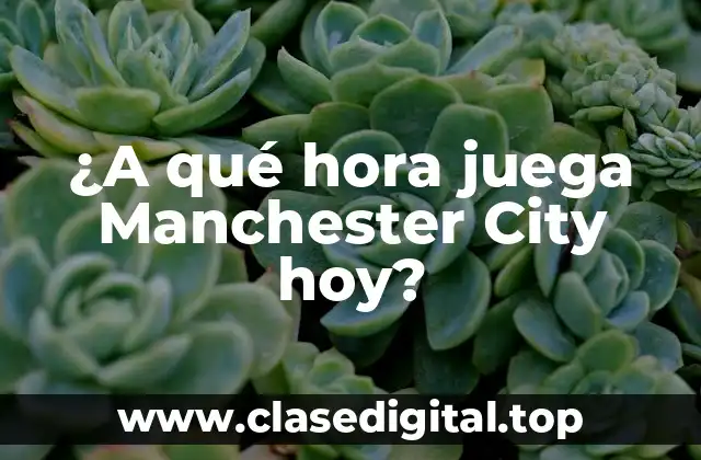 ¿A qué hora juega Manchester City hoy?