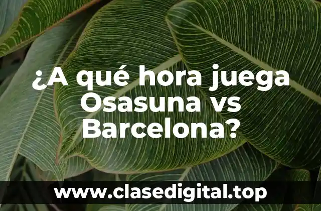 ¿A qué hora juega Osasuna vs Barcelona?