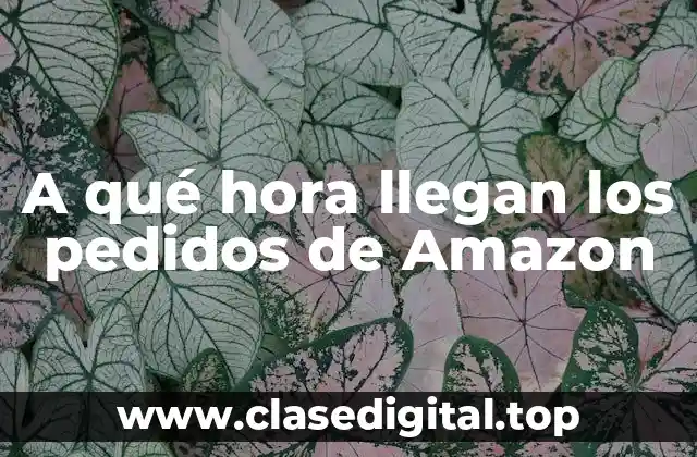 A qué hora llegan los pedidos de Amazon
