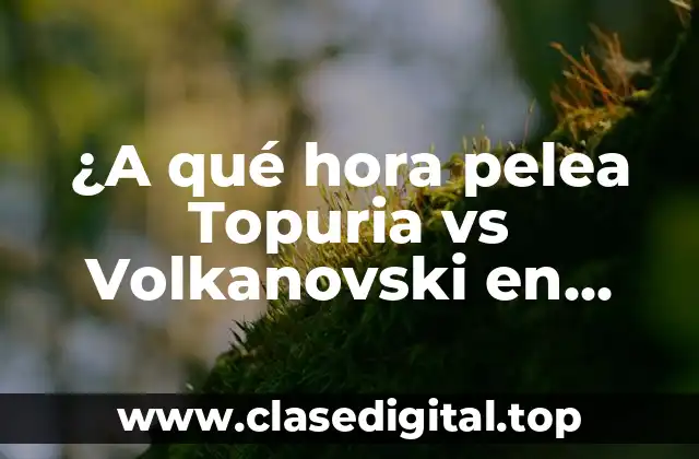 ¿Quiénes son Topuria y Volkanovski?
