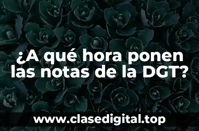 ¿Cómo se realizan los exámenes de conducir en España?