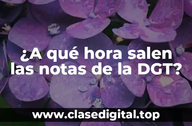 ¿Qué son las notas de la DGT?
