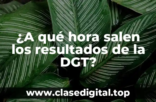 ¿Cuándo se publican los resultados de la DGT?