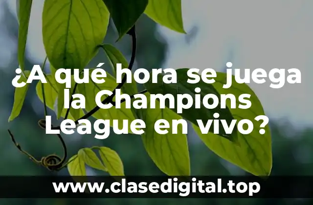 ¿A qué hora se juega la Champions League en vivo?