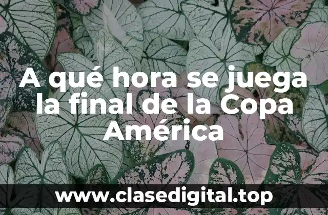 A qué hora se juega la final de la Copa América