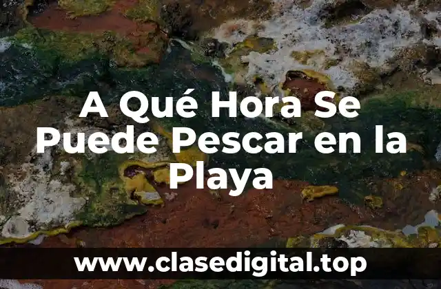 A Qué Hora Se Puede Pescar en la Playa