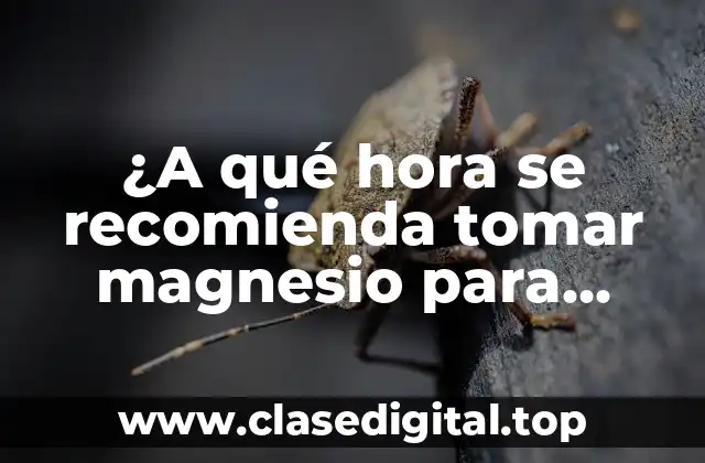 ¿A qué hora se recomienda tomar magnesio para maximizar sus beneficios?