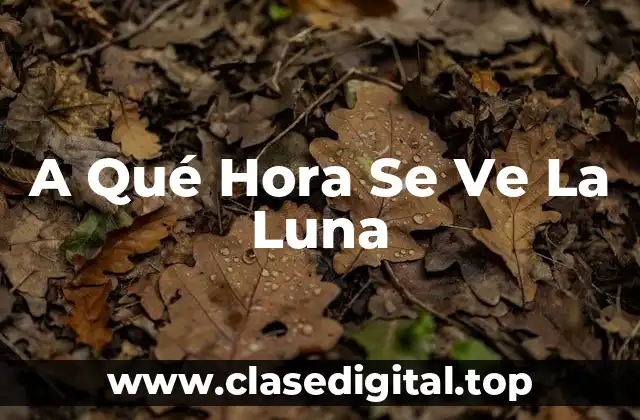 A Qué Hora Se Ve La Luna