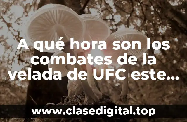 A qué hora son los combates de la velada de UFC este fin de semana?