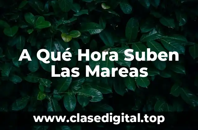 ¿Qué son las mareas?