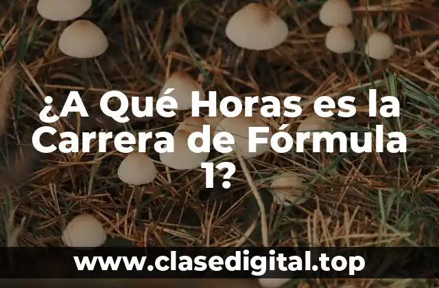 ¿A Qué Horas es la Carrera de Fórmula 1?