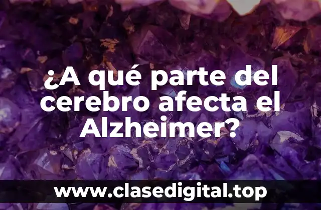 La anatomía del cerebro y el Alzheimer