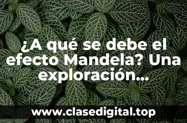 ¿A qué se debe el efecto Mandela? Una exploración científica y psicológica