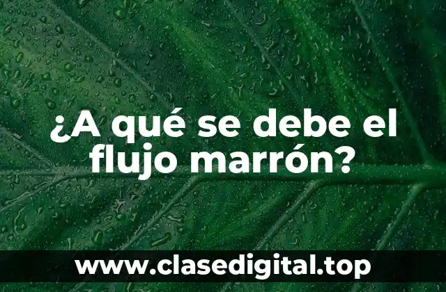 ¿A qué se debe el flujo marrón?