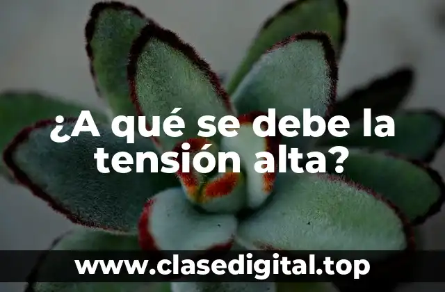 Causas comunes de la tensión alta