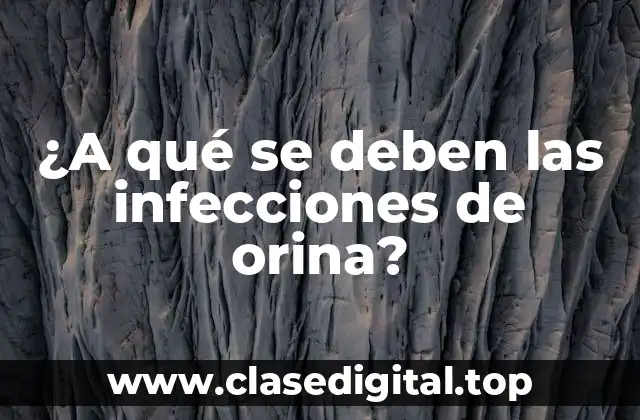 ¿A qué se deben las infecciones de orina?