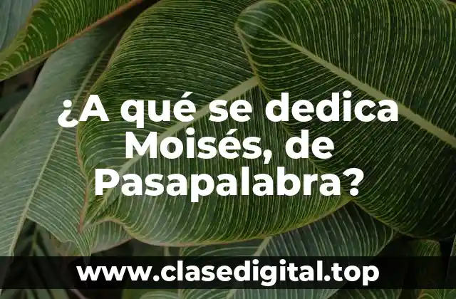 Biografía de Moisés