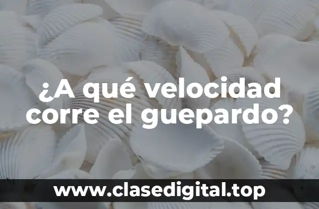 ¿A qué velocidad corre el guepardo?