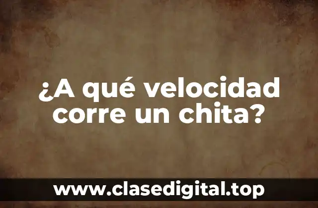 ¿A qué velocidad corre un chita?