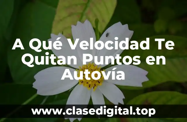 A Qué Velocidad Te Quitan Puntos en Autovía