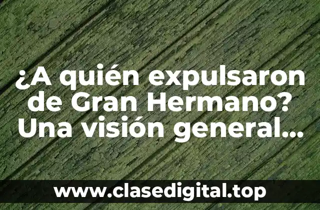 ¿A quién expulsaron de Gran Hermano? Una visión general de los expulsados del reality show
