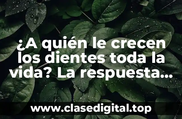 El proceso de crecimiento dental