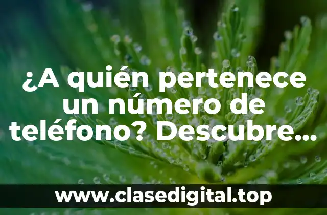 ¿A quién pertenece un número de teléfono? Descubre el dueño de cualquier número