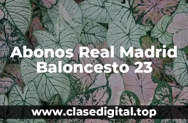 Abonos Real Madrid Baloncesto 23