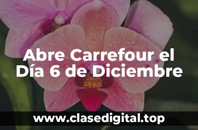 ¿Por qué Carrefour Abre el Día 6 de Diciembre?