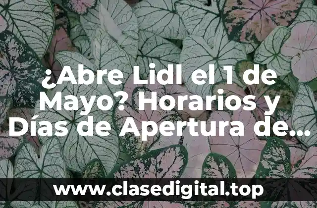 ¿Abre Lidl el 1 de Mayo? Horarios y Días de Apertura de Lidl