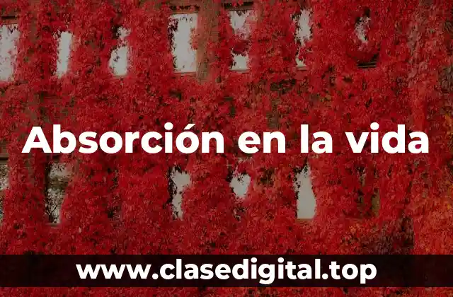 Absorción en la vida